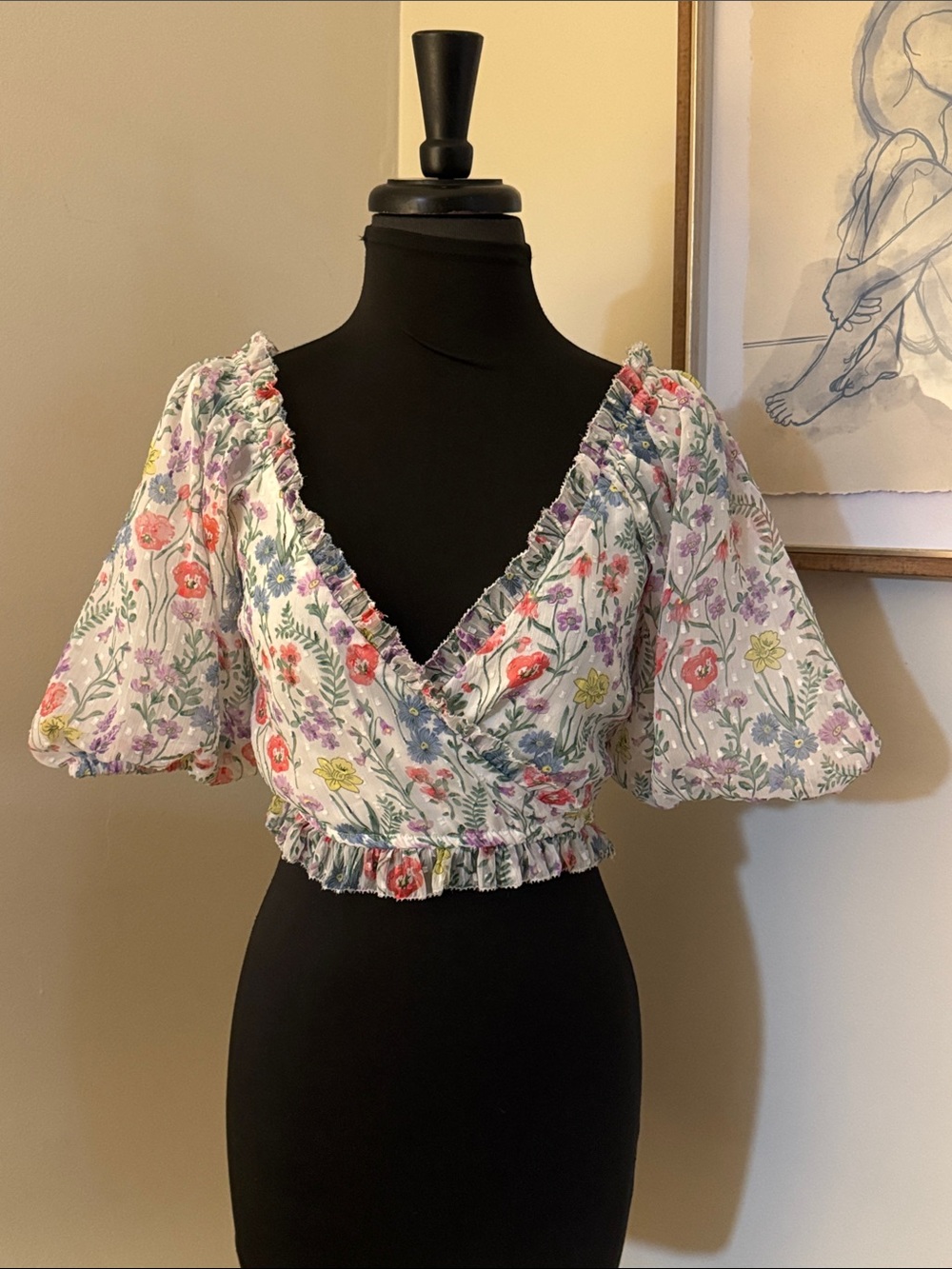 SAYLOR | Floral Teryn Print Puff Sleeve V-neck Crop Top-Size Small